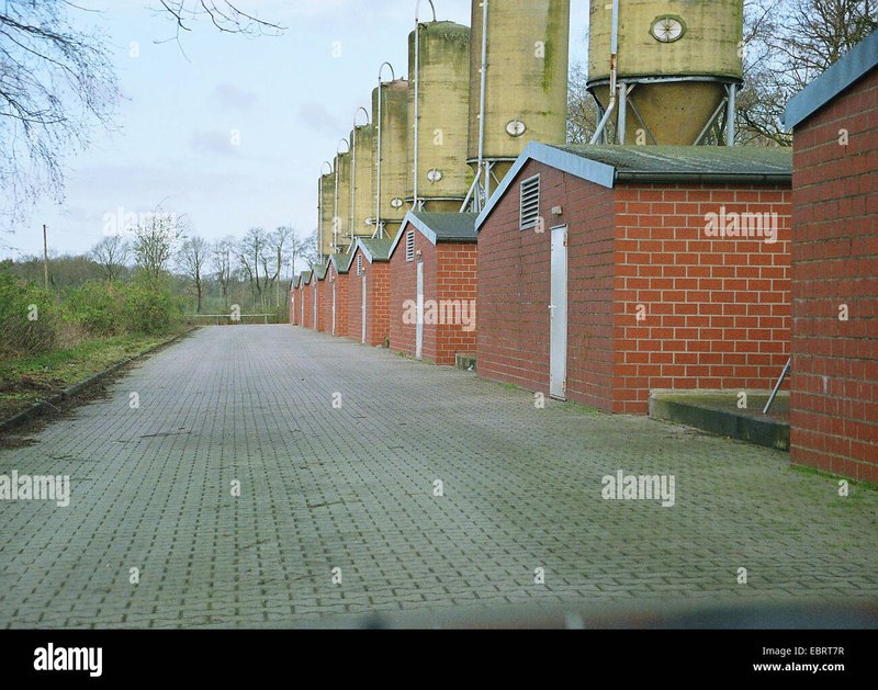 Chicken road spielen in Germany