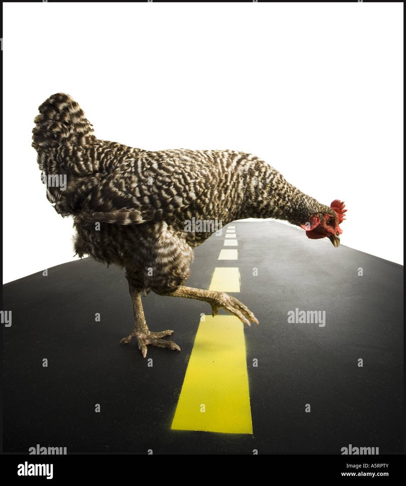 Chicken road ufficiale, chicken road